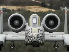 A-10C Thunderbolt II del 188 Ala de Caza de la Guardia Nacional de Arkansas en Fort Smith