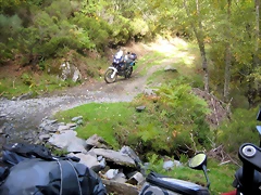 IMG_0442 IMG_0442