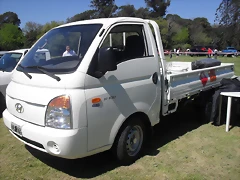 SDC13533 SDC13533