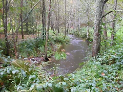 DSCN5731