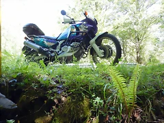 DSCN1101