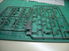 DSCN2651 DSCN2651
