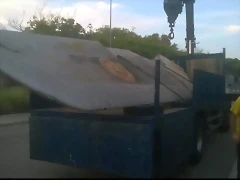 16181 16181