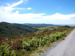 DSCN8313 DSCN8313