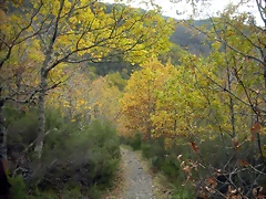 DSCN0642 DSCN0642