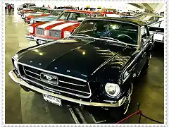 Mustang M-867732