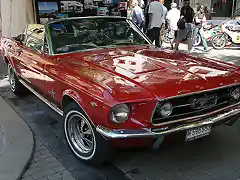 Mustang M-595553