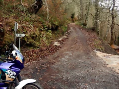 DSCN3140 DSCN3140