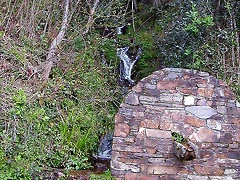 DSCN9063 DSCN9063