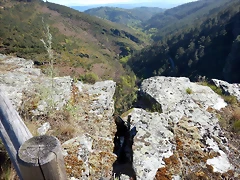 DSCN9019 DSCN9019