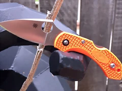 3Dragonfly-naranja_net