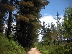 DSCN5363 DSCN5363