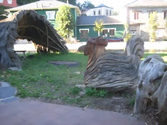 IMG_1328 IMG_1328