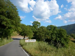 DSCN2410 DSCN2410