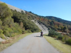 DSCN4168