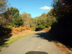 DSCN4181