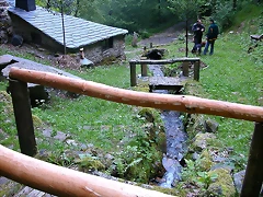 DSCN1964 DSCN1964