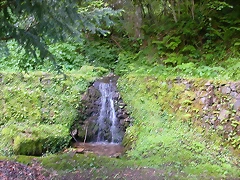 DSCN1963 DSCN1963