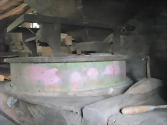 IMG_1841 IMG_1841