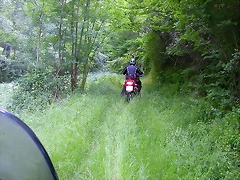 DSCN1998 DSCN1998