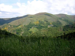DSCN1894 DSCN1894