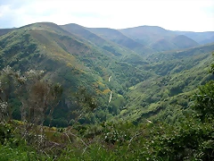 DSCN1899 DSCN1899