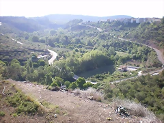 IMGP5998 IMGP5998
