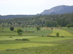 IMGP6056 IMGP6056