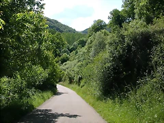 DSCN1883 DSCN1883