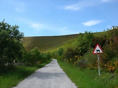 DSCN1900 DSCN1900