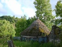 DSCN1942 DSCN1942