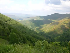 DSCN1952 DSCN1952