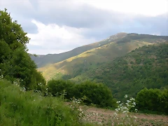 DSCN1951 DSCN1951