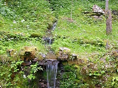 DSCN1965 DSCN1965