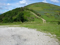 DSCN1892 DSCN1892
