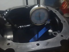 IMAG1146 IMAG1146