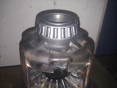 IMAG1147 IMAG1147