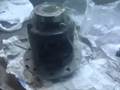 IMAG1148 IMAG1148