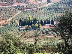 012, cementerio desde organo