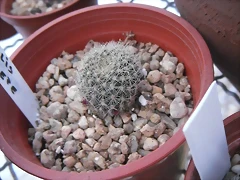 SAM_1139 SAM_1139