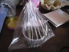 SAM_1151 SAM_1151
