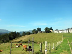 DSCN0646 DSCN0646