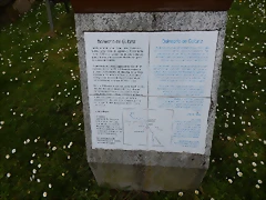 DSCN9229 DSCN9229