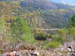 IMG_9071 IMG_9071