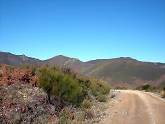 DSCN6838