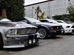 DSC_0793 DSC_0793