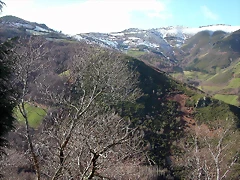DSCN7795 DSCN7795