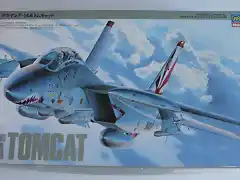 f-14tomcat