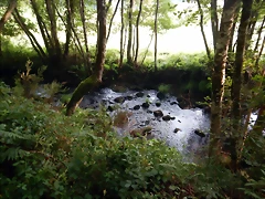 DSCN8416