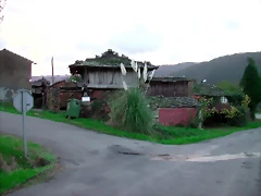 DSCN6334 DSCN6334